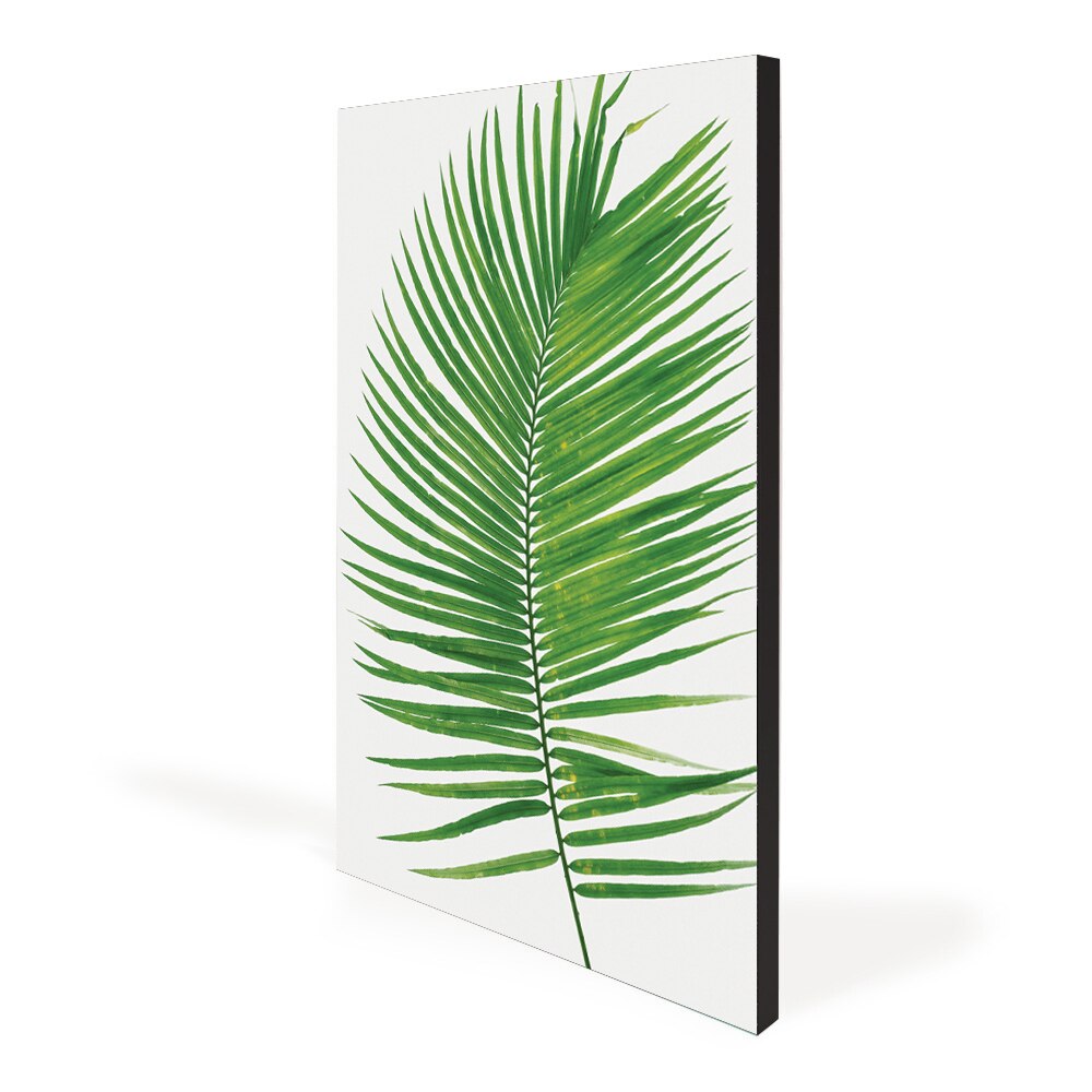 Aspen Slim Black Fabric Frames - Wall Mounted 3 Pack (19MM SEG Extrusion) — Graphic Package / 22 In Width x 36 In Height
